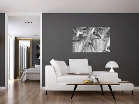 Obraz - Lipnica, čiernobiela (90x60 cm)