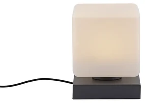 Stolná lampa tmavosivá vrátane stmievateľnej LED s dotykovým ovládaním - Jano