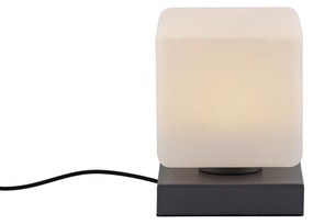 Stolná lampa tmavosivá vrátane stmievateľnej LED s dotykovým ovládaním - Jano