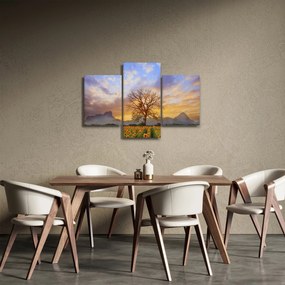 Obraz - Krajina so slnečnicami (90x60 cm)