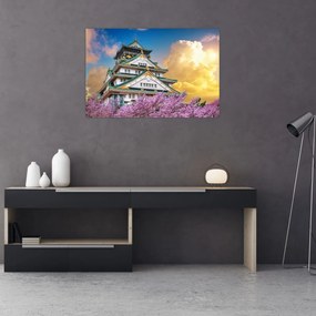 Obraz - Osacký hrad (90x60 cm)