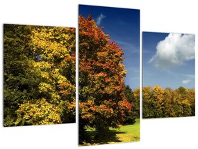 Jesenná krajina, obraz