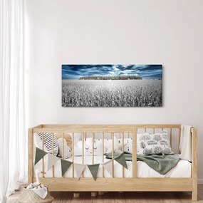 Obraz pole (120x50 cm)