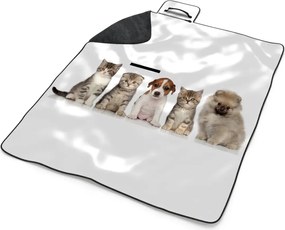 Sablio Plážová deka Mláďatká: 200x140 cm