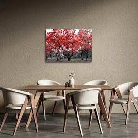 Obraz - Červené stromy, Central Park, New York (70x50 cm)