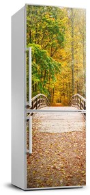 Nálepka fototapety na chladničku Jesenný  les FridgeStick-70x190-f-55256739