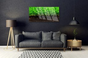 Obraz na skle Tráva príroda rastlina 125x50 cm