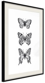 Artgeist Plagát - Three Butterflies [Poster] Veľkosť: 20x30, Verzia: Čierny rám s passe-partout