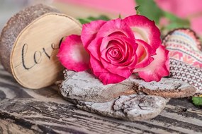 Samolepiaca fototapeta zátišie ruže s nápisom Love