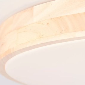 Brilliant - LED stmievané stropné svietidlo SLIMLINE LED/60W/230V + diaľkové ovládanie