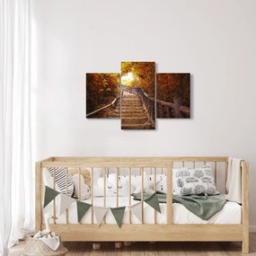 Obraz - Schody v prírode na jeseň (90x60 cm)