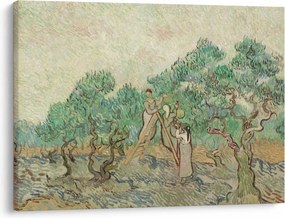 Obraz - Vincent van Gogh, The Olive Orchard, reprodukcia (70x50 cm)