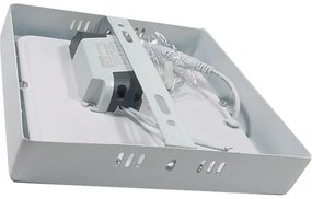 LED Stropné svietidlo LED/12W/230V 6000K