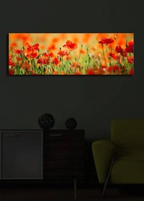 Obraz s led osvetlením Sean 90x30 cm