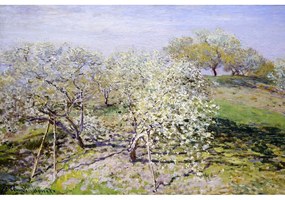 Reprodukcia obrazu Claude Monet - Spring, 90 × 60 cm