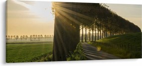 Obraz aleje (120x50 cm)