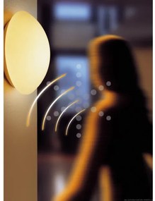 STEINEL 738013-RS16L - Kúpeľňové svietidlo so senzorom 1xE27/60W/230V IP44