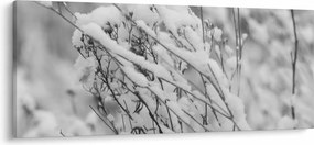 Obraz - Zasnežené vetvy (120x50 cm)