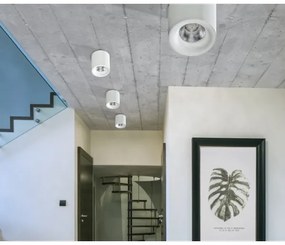 Azzardo AZ2845 - LED Stropné svietidlo MANE 1xLED/10W/230V