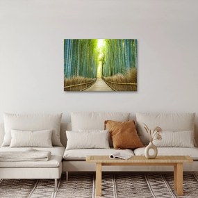 Obraz - Ulička s bambusmi (70x50 cm)