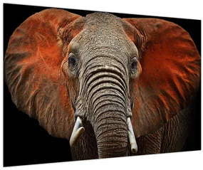 Obraz - Slony z Tsavo (90x60 cm)