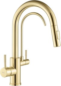 Rea Eco Fresh, drezová batéria s výtokom pre filter pitnej vody, zlatá lesklá, REA-B8989