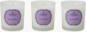 Ručne vyrobené vonné sviečky Vintage Aromatherapy (Lavender, Chamomile & White Musk), 3 ks