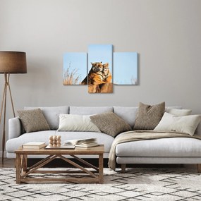 Obraz - Tigrice a jej mláďa (90x60 cm)