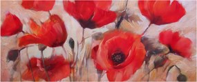Obraz - Vlčie maky (120x50 cm)