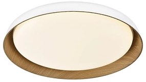 Top Light-LED Stm. stropné svietidlo SATELLITE LED/48W/230V 3000-6500K biela + DO TP1823
