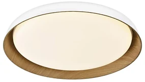 Top Light-LED Stm. stropné svietidlo SATELLITE LED/48W/230V 3000-6500K biela + DO TP1823