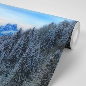 Samolepiaca fototapeta zamrznuté hory - 150x100