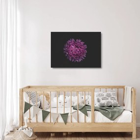 Sklenený obraz fialovej kvetiny (70x50 cm)