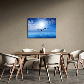Obraz - Čajka nad morom (70x50 cm)