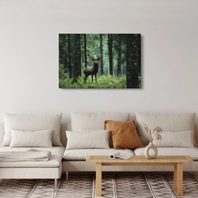 Obraz - Jeleň v hlbokom lese (90x60 cm)