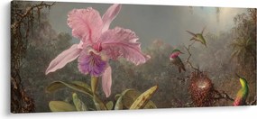 Obraz - Martin Johnson Heade, Cattleya Orchid and Three Hummingbirds, reprodukcia (120x50 cm)
