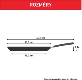 Panvica s nepriľnavým povrchom na lievance ø 25 cm Pancake time D5292072 – Tefal