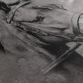 Obraz - Portrét koňa (150x105 cm)