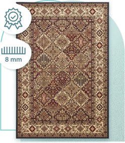 Koberec Agnella Standard Bergenia Terakota