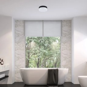 Rabalux 75025-LED Kúpeľňové stropné svietidlo GAELO LED/15W/230V pr. 23 cm čierna