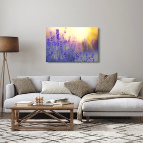 Obraz - Levanduľa (90x60 cm)