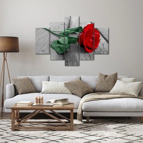 Obraz - Červená ruža so zelenou stonkou (150x105 cm)