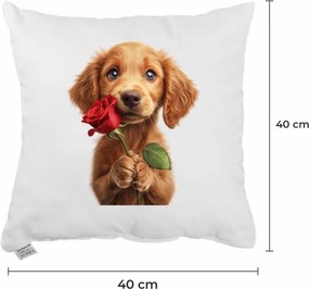 Dekoratívny vankúš Maxie 40x40 cm EMI