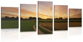 5-dielny obraz zapadajúce slnko nad krajinou - 100x50
