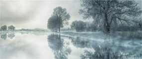 Obraz zimnej prírody (120x50 cm)