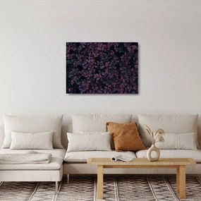 Sklenený obraz tmavočervených lístočkov (70x50 cm)