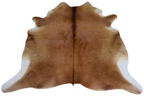 Hnedý koberec z hovädzej kože Cowhide brown - 200*0,5*240cm/3-4m²