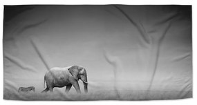 Sablio Uterák Slon a zebra - 70x140 cm