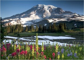 Sklenený obraz - Mount Rainier (70x50 cm)