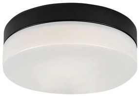 Rabalux 75025 kúpeľňové stropné LED svietidlo Galeo